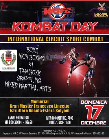 KOMBAT DAY - International circuit sport combat