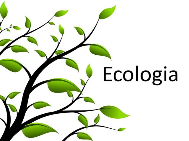 Informative Ufficio Ecologia